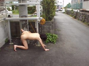 forced pissing outdoor