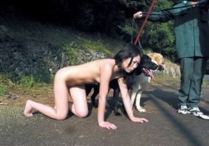 dog_play_outdoor